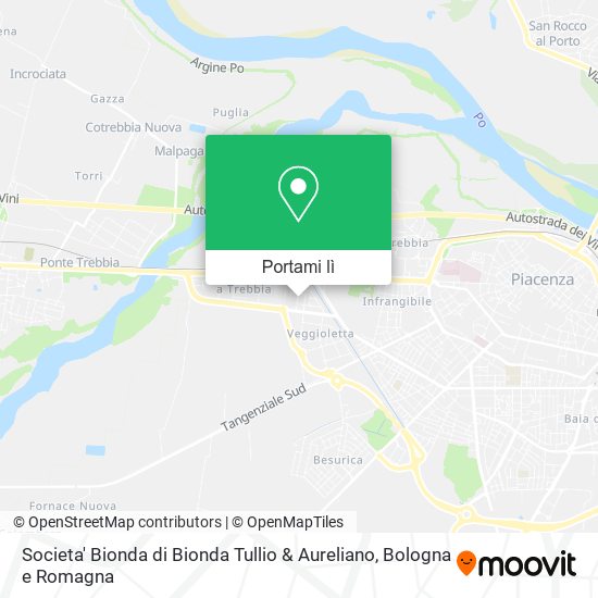 Mappa Societa' Bionda di Bionda Tullio & Aureliano