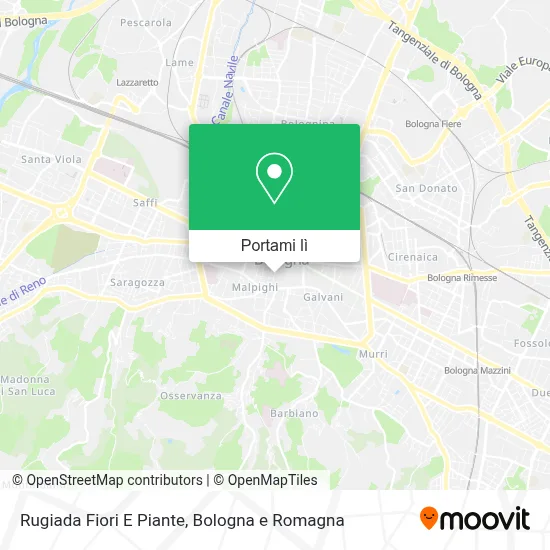 Mappa Rugiada Fiori E Piante
