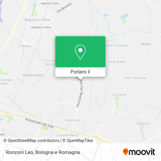 Mappa Ronzoni Leo