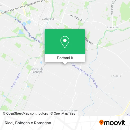 Mappa Ricci