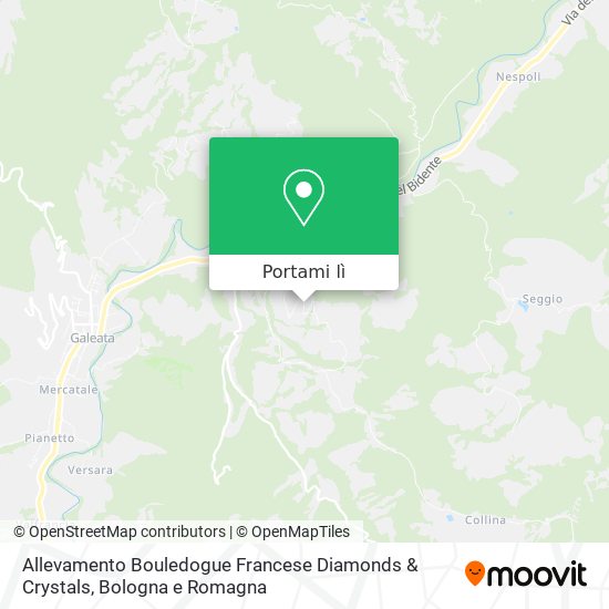 Mappa Allevamento Bouledogue Francese Diamonds & Crystals