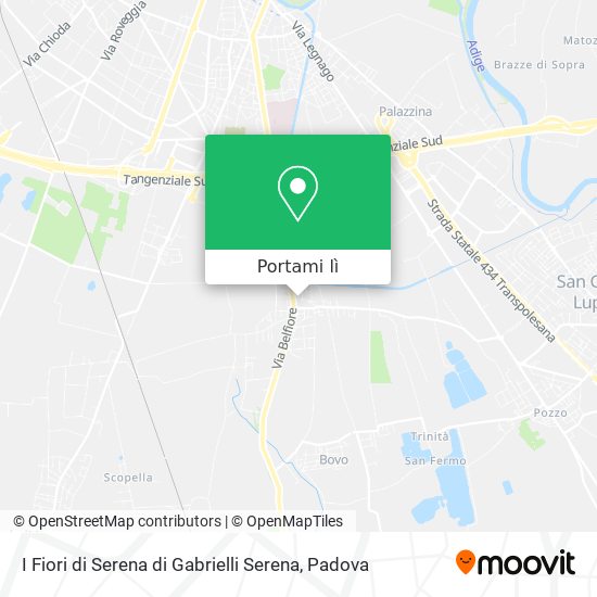 Mappa I Fiori di Serena di Gabrielli Serena