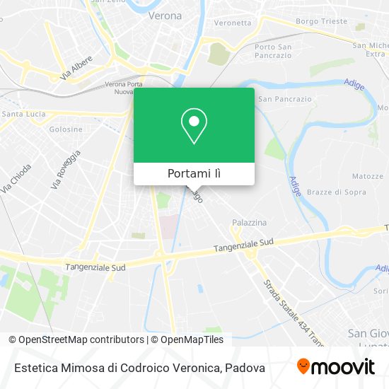 Mappa Estetica Mimosa di Codroico Veronica