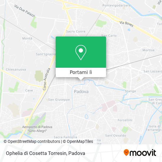 Mappa Ophelia di Cosetta Torresin