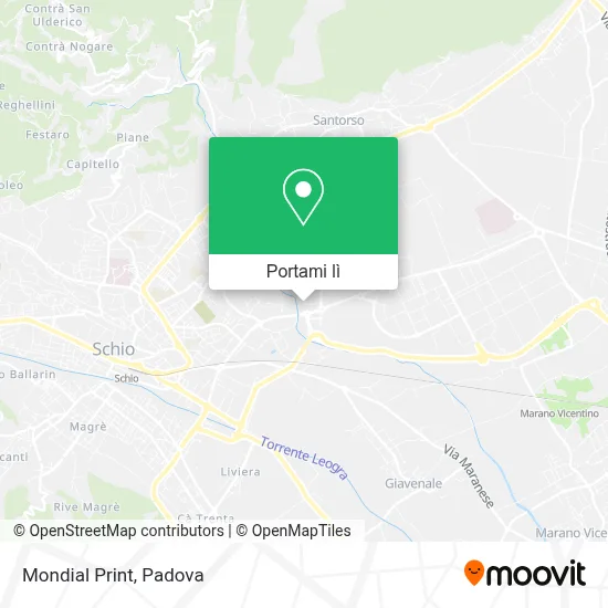 Mappa Mondial Print