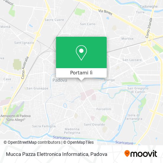Mappa Mucca Pazza Elettronica Informatica