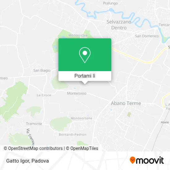 Mappa Gatto Igor