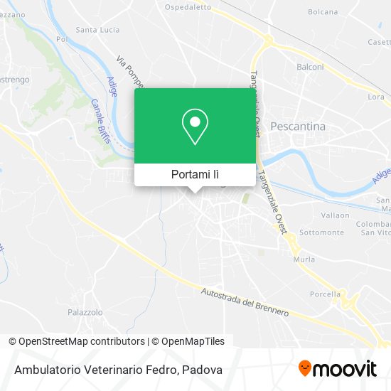 Mappa Ambulatorio Veterinario Fedro