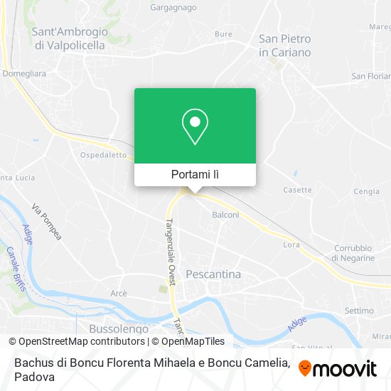 Mappa Bachus di Boncu Florenta Mihaela e Boncu Camelia