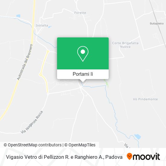 Mappa Vigasio Vetro di Pellizzon R. e Ranghiero A.