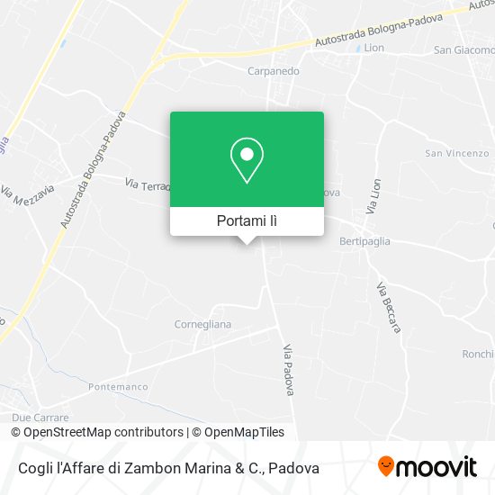 Mappa Cogli l'Affare di Zambon Marina & C.