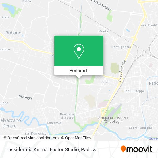 Mappa Tassidermia Animal Factor Studio