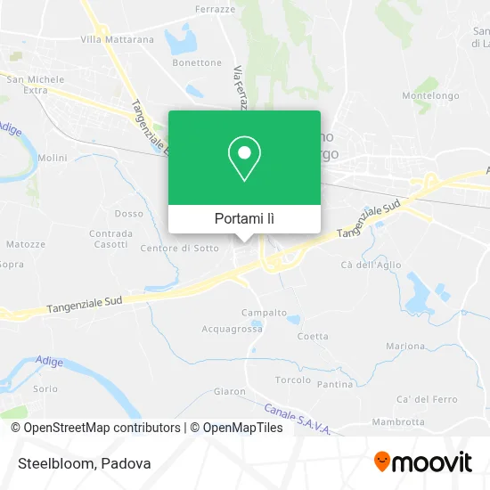 Mappa Steelbloom