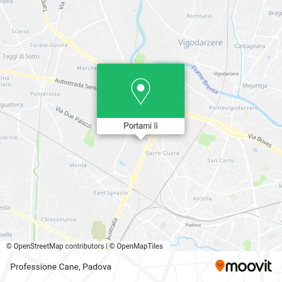 Mappa Professione Cane