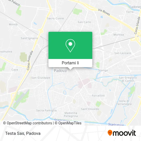 Mappa Testa Sas