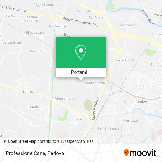 Mappa Professione Cane
