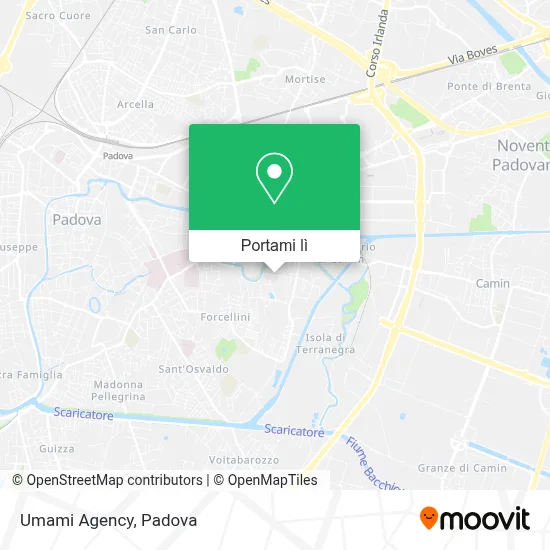 Mappa Umami Agency