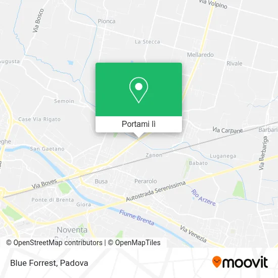 Mappa Blue Forrest