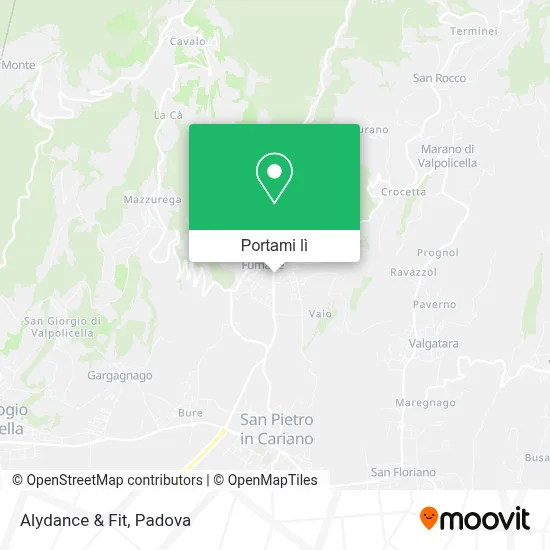Mappa Alydance & Fit