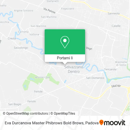 Mappa Eva Durcanova Master Phibrows Bold Brows