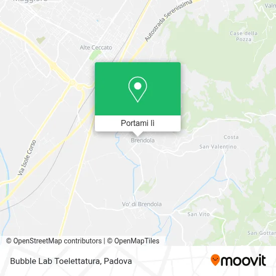 Mappa Bubble Lab Toelettatura