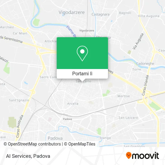Mappa Al Services