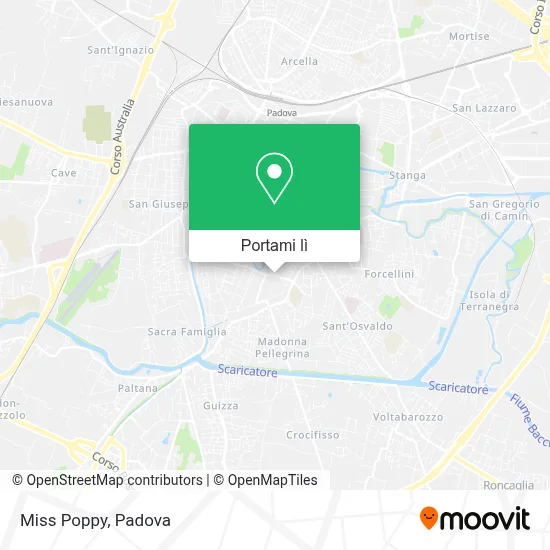 Mappa Miss Poppy