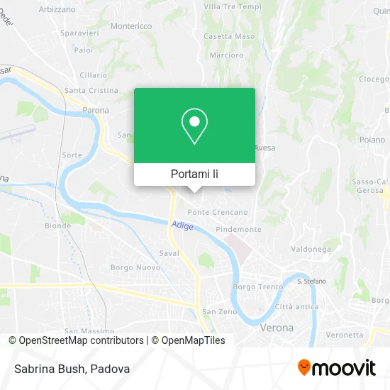 Mappa Sabrina Bush