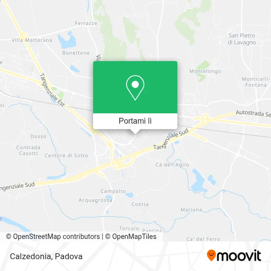 Mappa Calzedonia