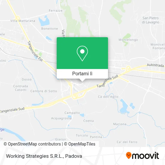 Mappa Working Strategies S.R.L.