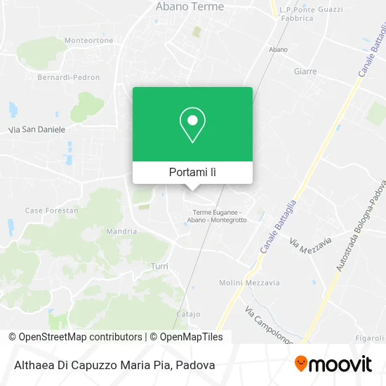 Mappa Althaea Di Capuzzo Maria Pia