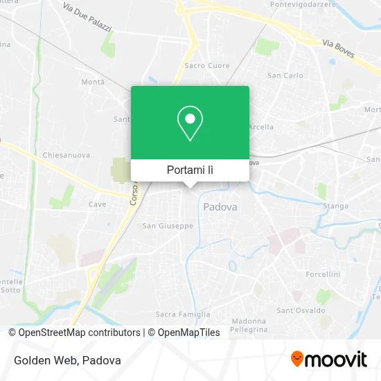 Mappa Golden Web
