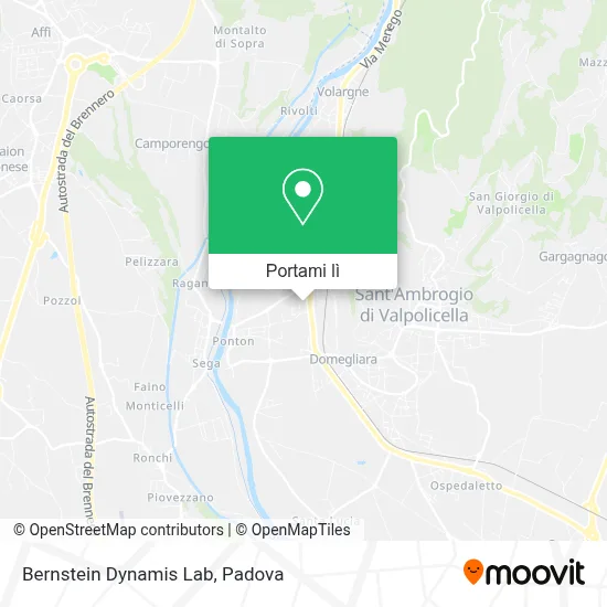 Mappa Bernstein Dynamis Lab