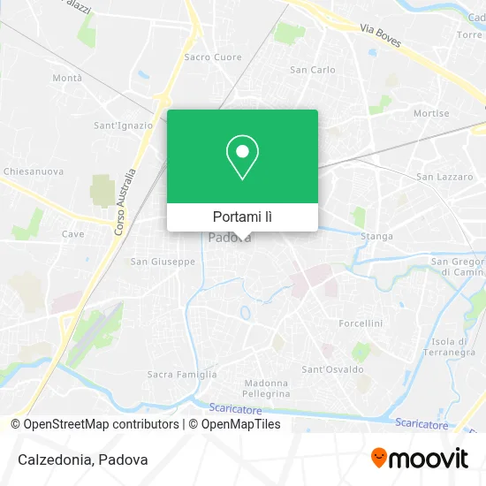 Mappa Calzedonia