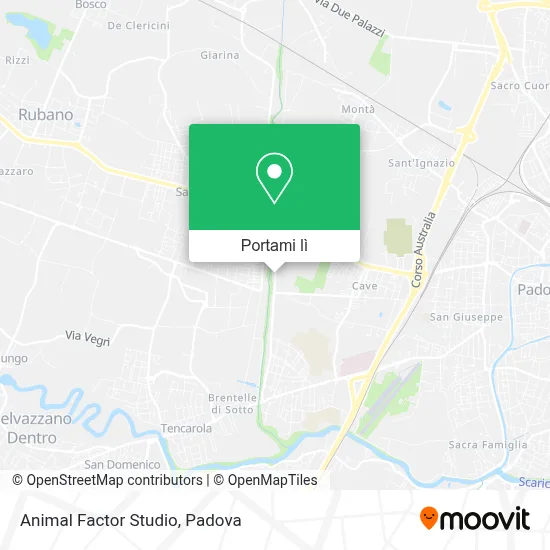 Mappa Animal Factor Studio