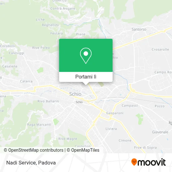 Mappa Nadi Service