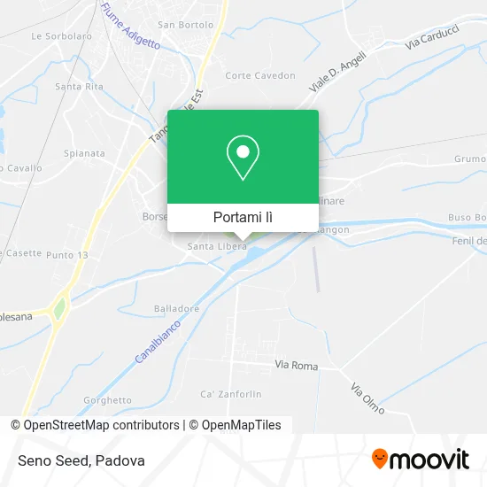 Mappa Seno Seed