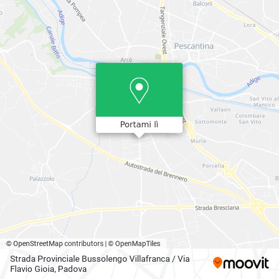 Mappa Strada Provinciale Bussolengo Villafranca / Via Flavio Gioia