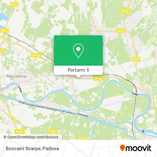 boscaini scarpe settimo