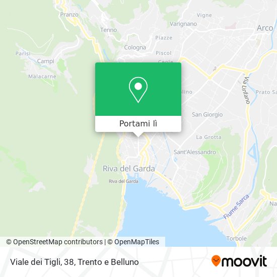 Mappa Viale dei Tigli, 38