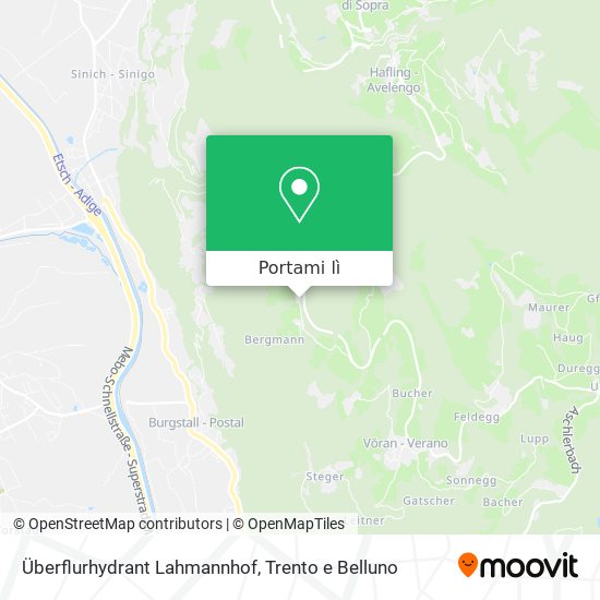 Mappa Überflurhydrant Lahmannhof