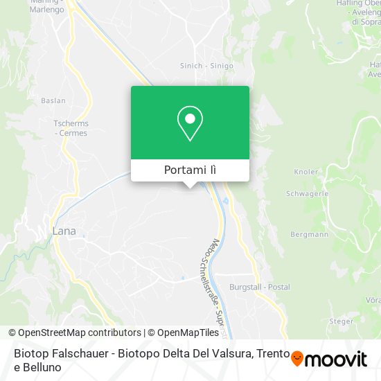 Mappa Biotop Falschauer - Biotopo Delta Del Valsura