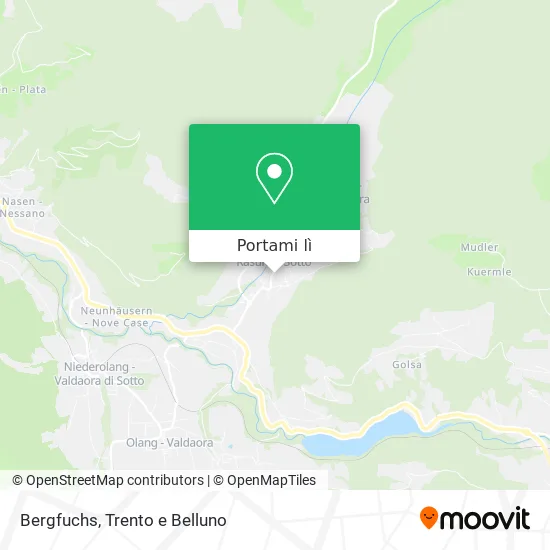Mappa Bergfuchs