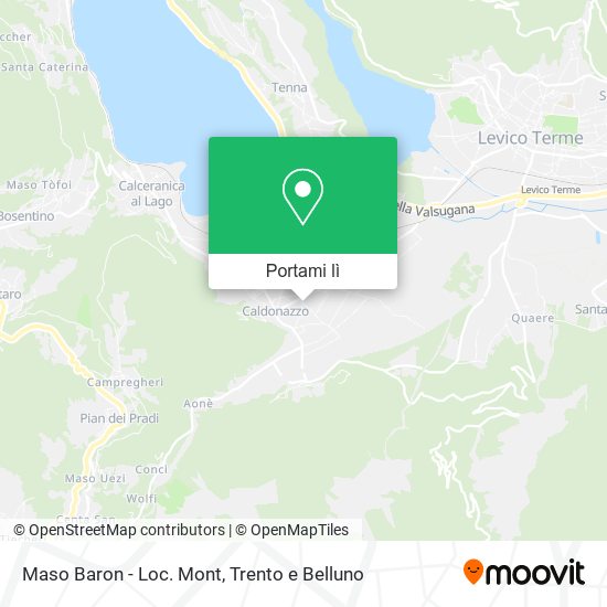 Mappa Maso Baron - Loc. Mont