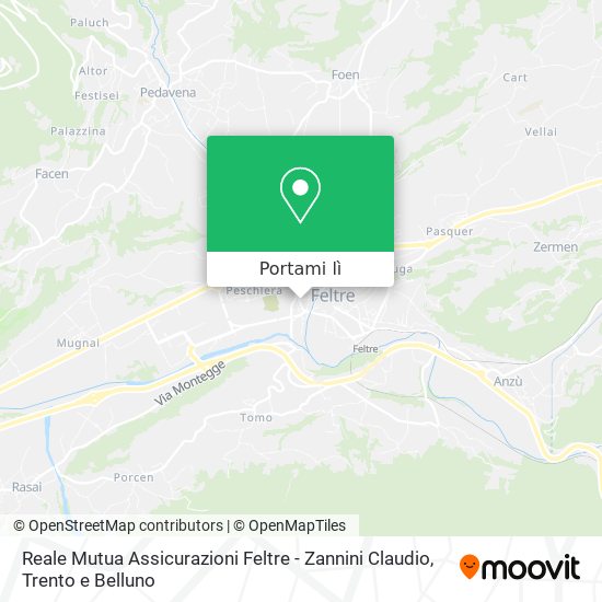 Mappa Reale Mutua Assicurazioni Feltre - Zannini Claudio