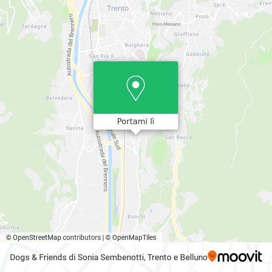 Mappa Dogs & Friends di Sonia Sembenotti