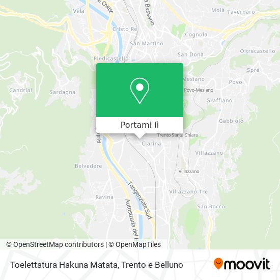 Mappa Toelettatura Hakuna Matata