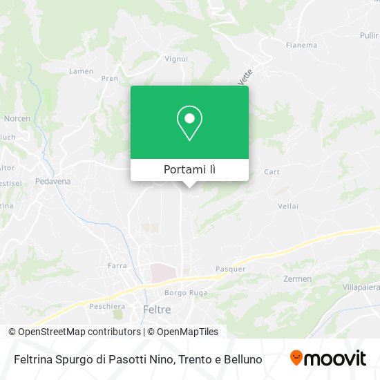 Mappa Feltrina Spurgo di Pasotti Nino