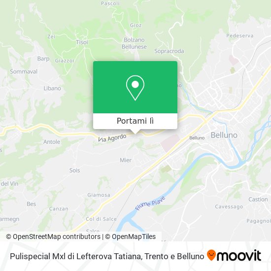 Mappa Pulispecial Mxl di Lefterova Tatiana