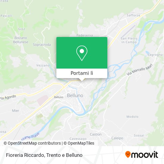 Mappa Fioreria Riccardo